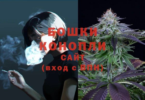 ПСИЛОЦИБИНОВЫЕ ГРИБЫ Сафоново