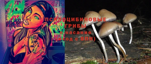 гашик Сатка