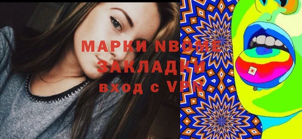 гашик Сатка
