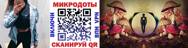 Купить где  Староминская  Галлюциногенные грибы Psilocybe 